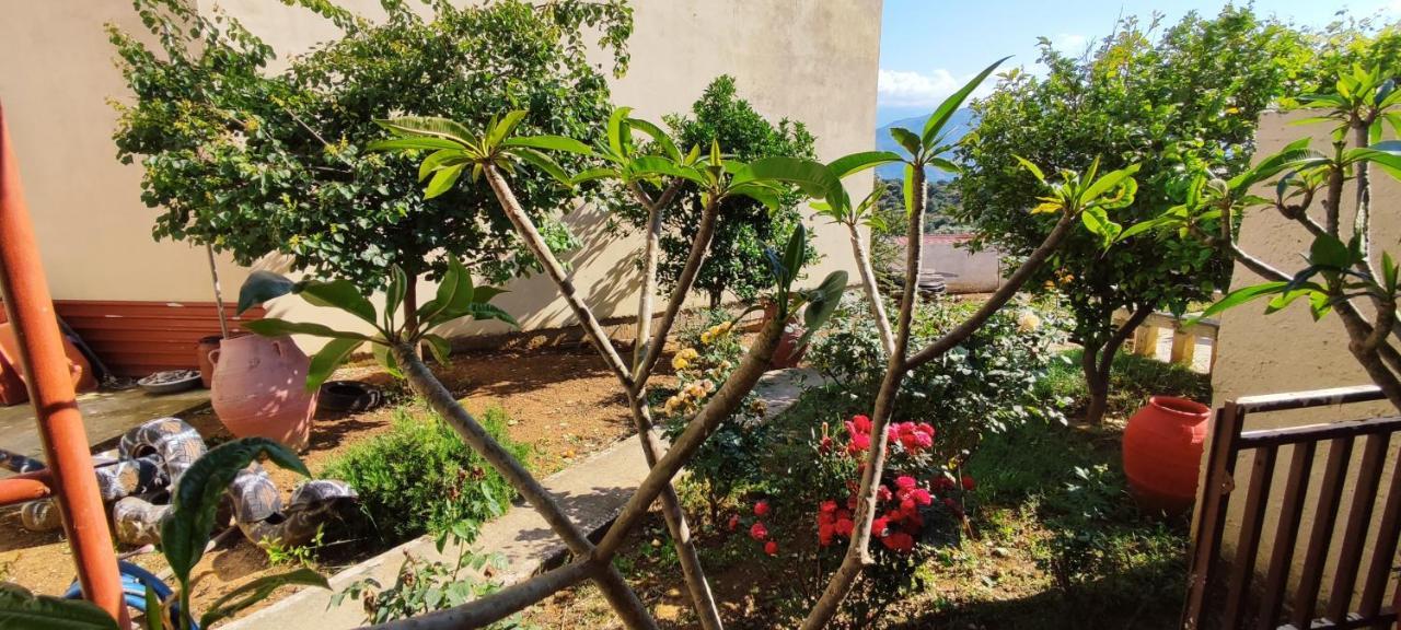 Village House With A Nice Garden Stérnai Exterior photo
